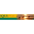 Logo Equifox GmbH