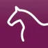 Logo Equiva Reitsport Möhring GbR