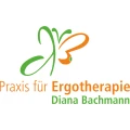 Ergotherapie Diana Bachmann Sch&ouml;nhausen