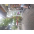 Erich Kern Kiosk Berlin