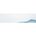 Logo Poss, Erika