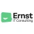 Logo Ernst IT Consulting