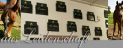 Logo Ernst Reitstall