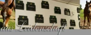 Logo Ernst Reitstall