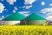 Logo Erste Biogas Ocholt GmbH & Co. KG