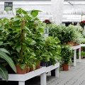 Eschenbach Bau- und Garten-Center GmbH & Co.KG Sanit&auml;rausstellung Hildburghausen