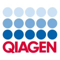 Logo ESE GmbH