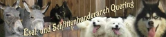 Logo Esel- und Schlittenhunderanch Quering Hartwig Rackwitz