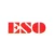 Logo ESO Endoskopietechnik
