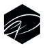 Logo establish physiotherapy