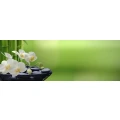 Logo esthetic company
