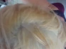 Logo Eva-Maria Gatzsch Friseur