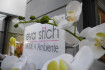 Logo Eva Stich Mode u. Ambiente