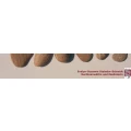 Logo Steindor-Schmidt, Evelyn-Susanne