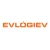 Logo Evlogiev Solar GmbH & Co. KG