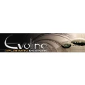 Logo EVOLINE GmbH, Zeichen- und Grafikstudio