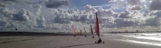 Logo Expert in Actie