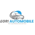 F.Egri Automobile D&uuml;sseldorf