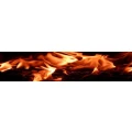 Logo F & S Brandschutztechnik GbR