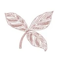 Logo fabiano