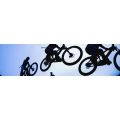 Logo Fahrrad-Ritzel