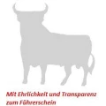 Logo Fahrschule Don Francisco