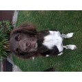 Fahrschule Gabriele Wahner-Huber Bad W&ouml;rishofen