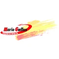 Fahrschule Mario Gallus Radolfzell