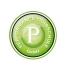 Logo Fahrschule Performance