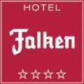 Logo Falken