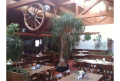 Falkenheim TSV Wirtshaus Inh. Reinhold Graf N&uuml;rnberg