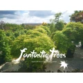 Fantastic Trees J&uuml;chen