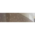 Logo Farbe Lebt
