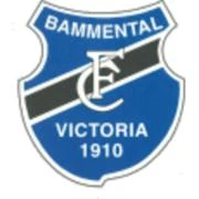 Logo FC Victoria 1910 Bammental
