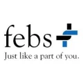 Logo febs Consulting GmbH