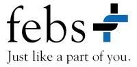 Logo febs Consulting GmbH