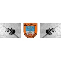 Logo Fechtsport-Gemeinschaft-Dillingen