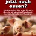 Logo Feilo Hauser