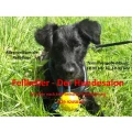 Fellkeller-Der Hundesalon Selters