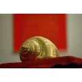 Golden house