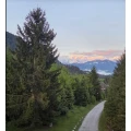 Ferienhaus WALDHEIM - Anna Schmid Farchant