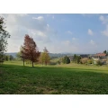 Blick hinter dem Garten
