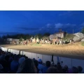 Festspiele Burgrieden GmbH Burgrieden