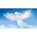 Logo Feuer-Transformation eG