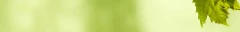 Logo Fiedler Irene Dipl.Ing. Freie Landschaftsarchitektin