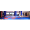 Logo Fight Club Olching