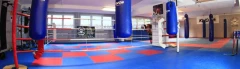 Logo Fight Club Olching