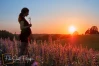 Film-Schnitt-Fotografie - Imagefilme und Fotografie Klein Vielen