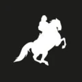 Logo Filminitiative Dresden e.V.