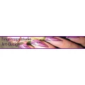 Logo Fingernagelstudio Anita Eilts